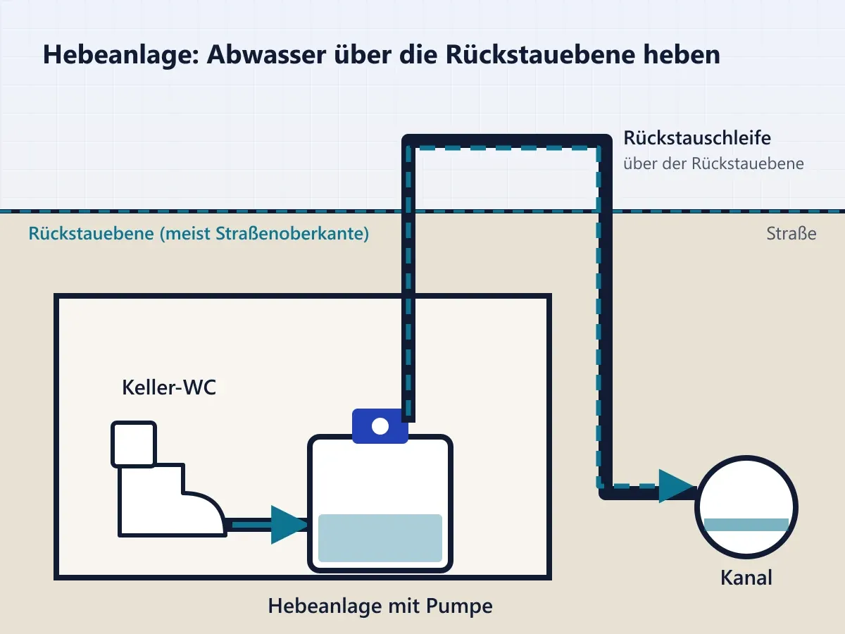 Schemazeichnung: Hebeanlage im Keller pumpt Abwasser vom Keller-WC über die Rückstauschleife in den Kanal